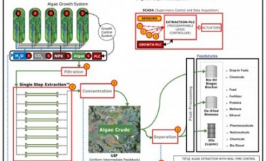 Algae’s extractions